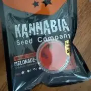 Melonade 🍈
