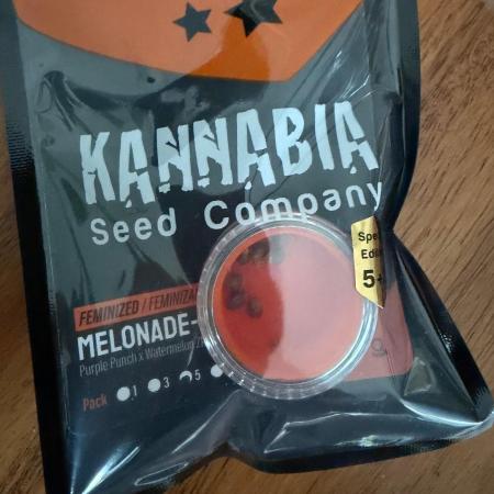 Melonade 🍈