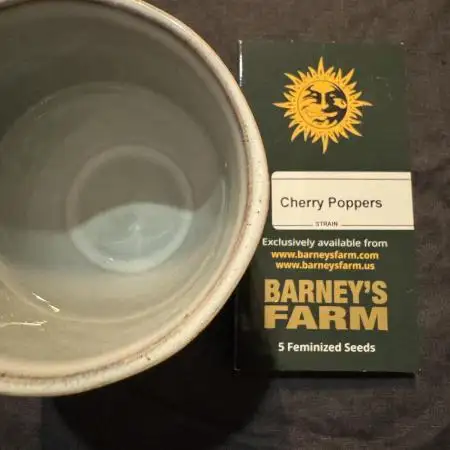 Cherry Poppers 🔞