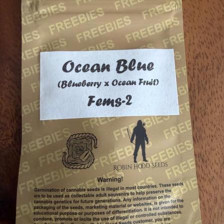 Blueberry x ocean fruit