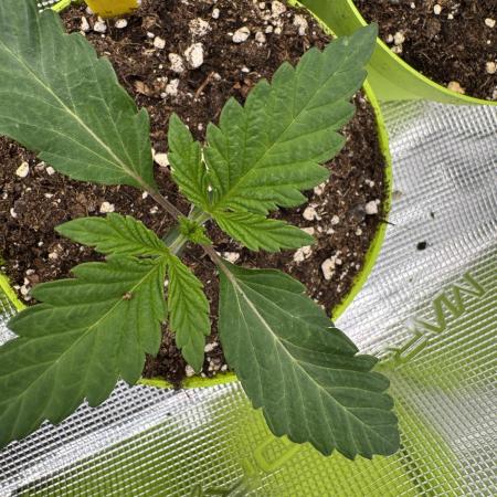 Golden sands 🏜️