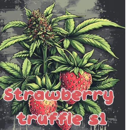 Strawberry 🍓