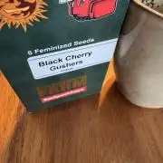 Acai x Black Cherry Funk