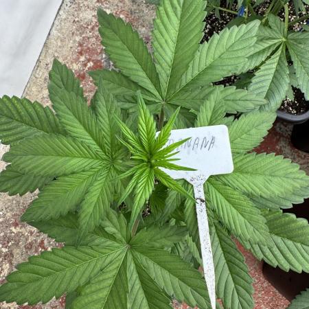 Bottle Bottoms ♻️