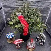 Getting ☃️ with the boys