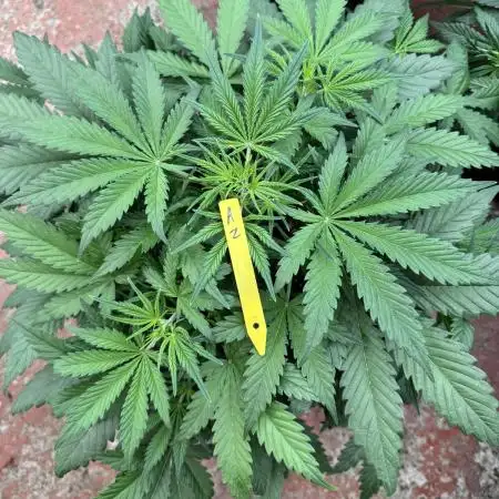 Taste the rainbow 👻