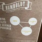 Golden sands 🏜️