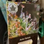 Opium Auto