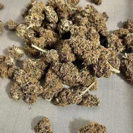 3.Fast Buds Apricot/Purple Lemonade Auto