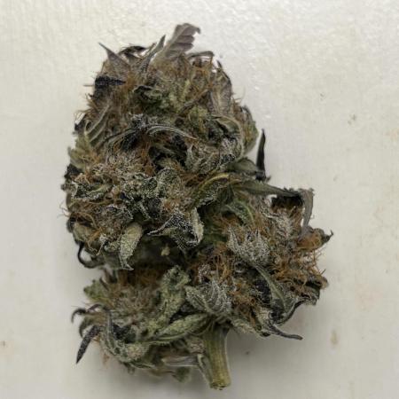 DWC Auto Black Opium