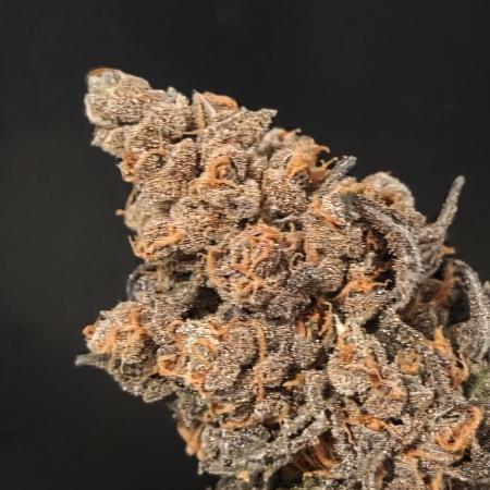 Pink Punch Kush