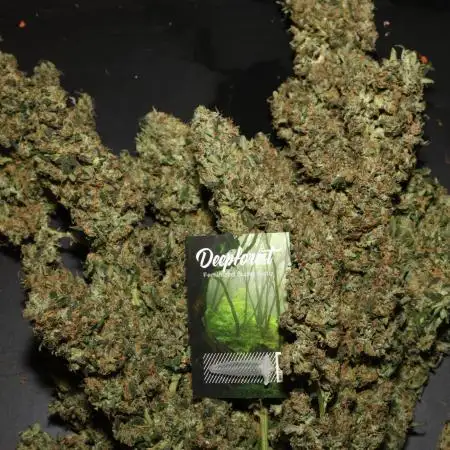 Deep Forest Super Auto