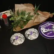 Kees Old School Haze Regular