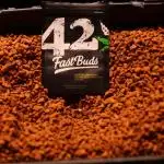 Pineapple Express Auto