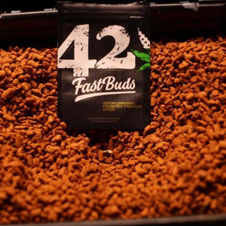 Pineapple Express Auto