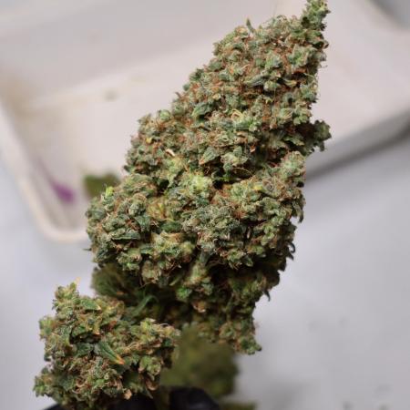 Grandmommy Purple