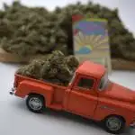  . . . Sour Puffs . . . 