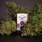 Colorado Cookies auto