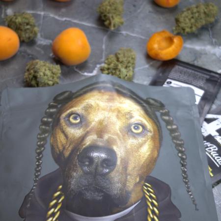 Apricot Auto