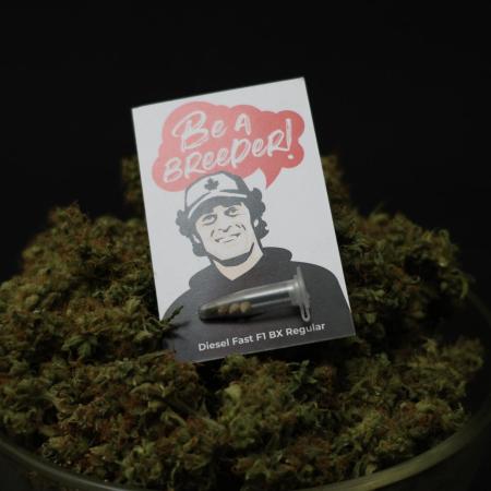 Diesel Fast F1 BX Regular