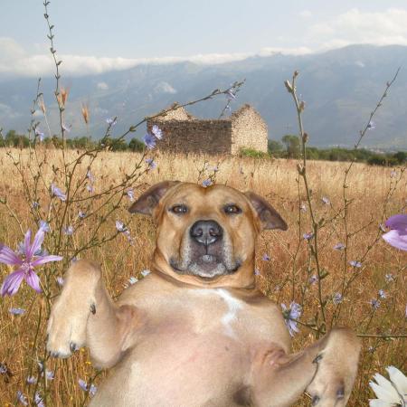 MEDITERRANEAN OUT MIX 2025