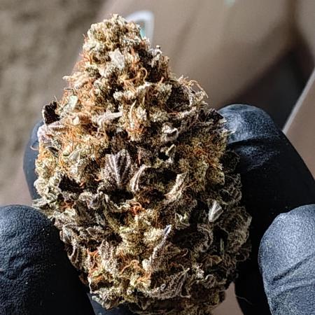 Blackberry Moonrocks