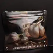 Garlic Jam