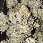 Blackberry Moonrocks
