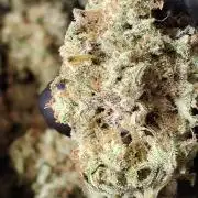 Fruity Pebbles OG