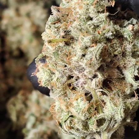 Fruity Pebbles OG