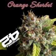Orange Sherbet Auto run #2