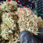 Sticky Broccoli