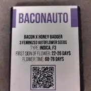 BaconAuto
