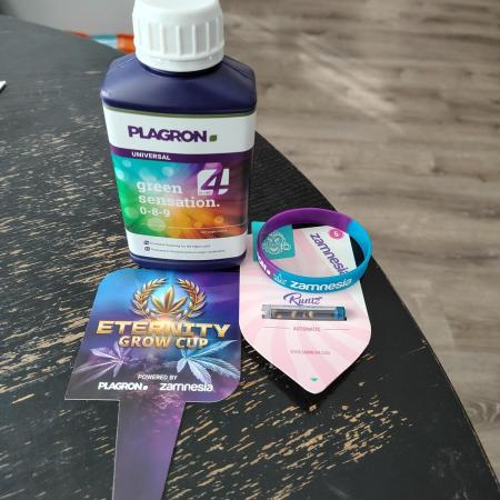 Eternity Grow Cup 2025- Runtz Auto