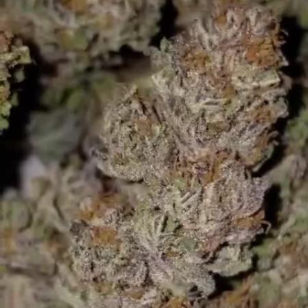Bubba kush - Amnesia