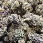 Lava Cake