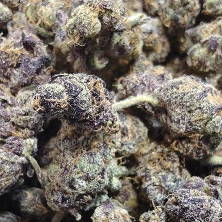 Lava Cake
