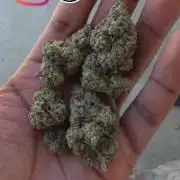 Ethos - Grandpa Cookies #6 S1