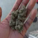 Ethos - Grandpa Cookies #6 S1
