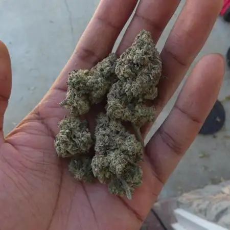 Ethos - Grandpa Cookies #6 S1