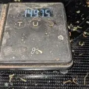 Strawberry Banana Auto