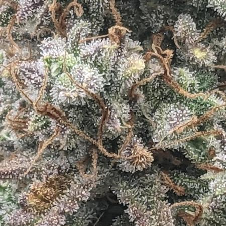 Strawberry Banana Auto