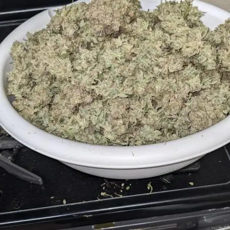 Blue Dream Auto