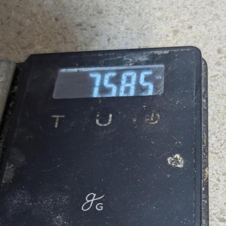 Gorilla Zittlez Auto