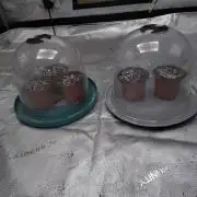 eternity grow cup 2026