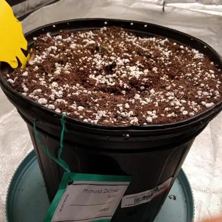 ganja farmer 2