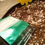 ganja farmer 2