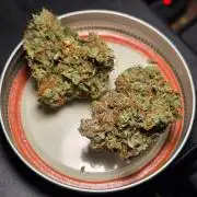 Mephisto - Major Toke