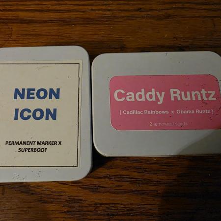 Beanfiendz Caddy Runtz & Neon Icon