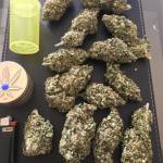 Jack 47 Auto